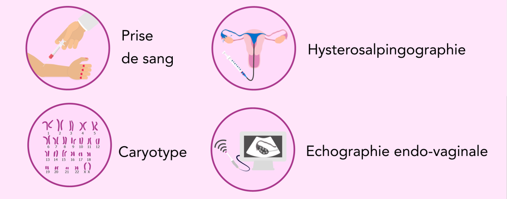 bilan fertilité